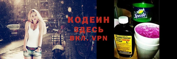 индика Каменка