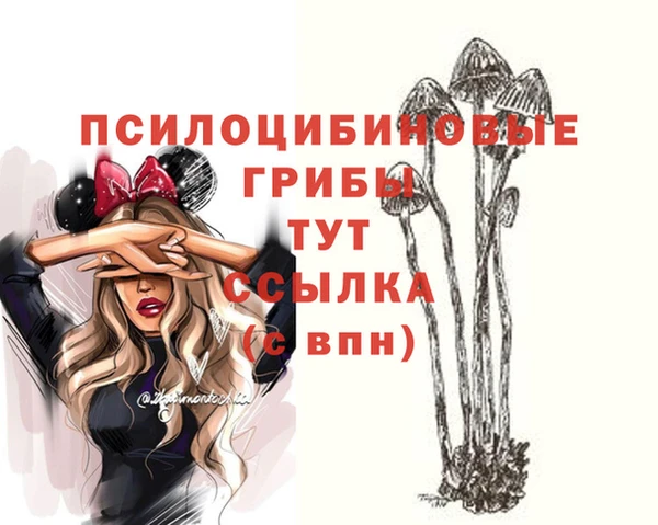 крисы Балабаново