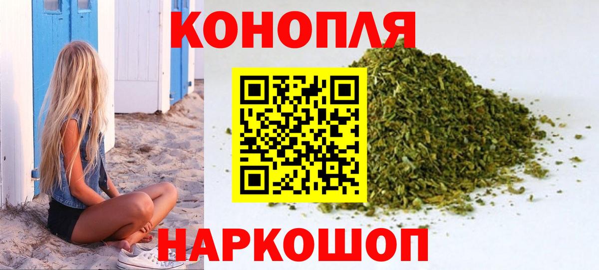 Конопля планчик Сегежа
